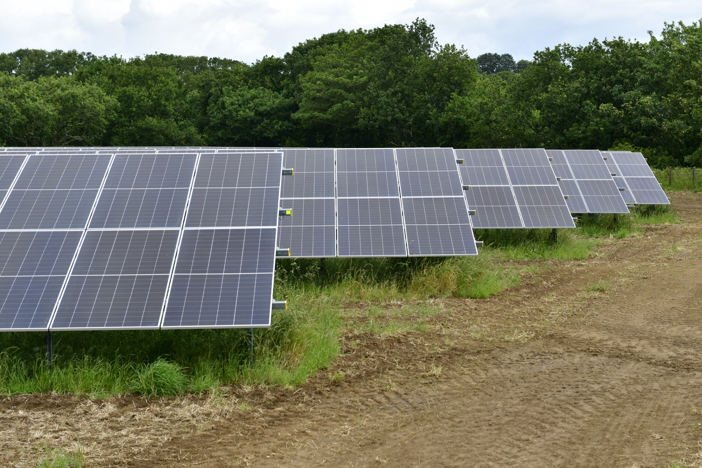 Commercial ground-mounted solar panels in a field